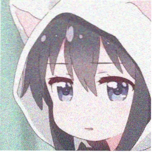 观众老猫的头像